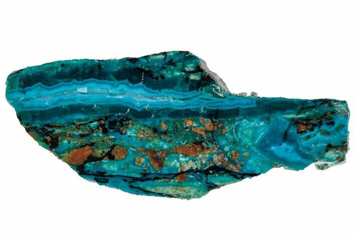 Polished Banded Chrysocolla and Malachite - Bagdad Mine, Arizona #315644